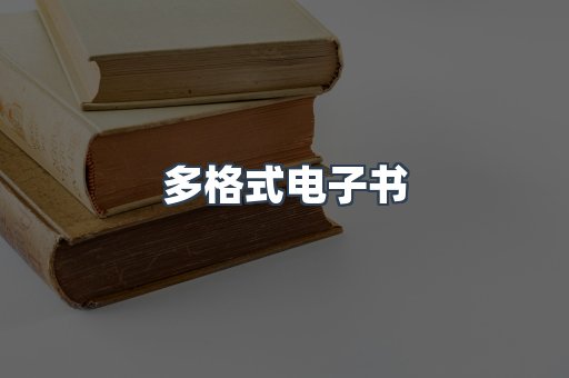 多格式电子书